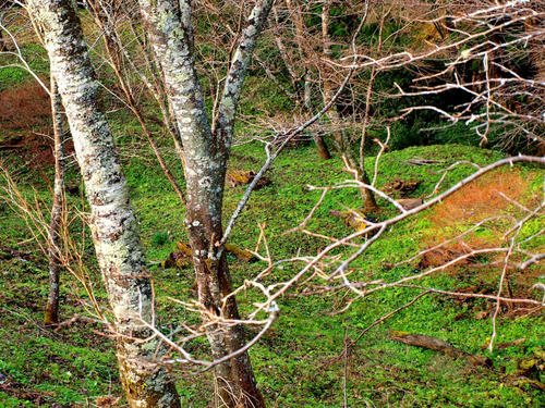 P2305673.JPG