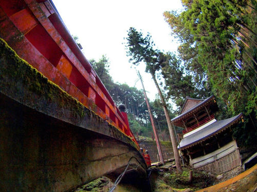 P2305762.JPG