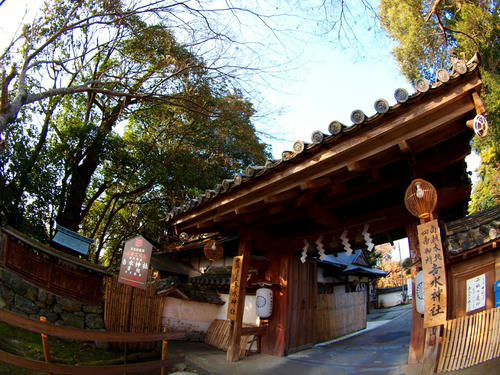 P2305820.JPG