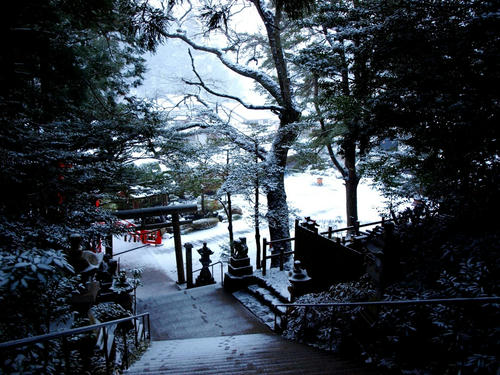 P2315863.JPG