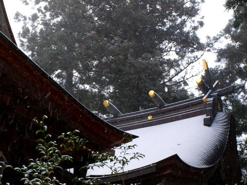 P2315882.JPG
