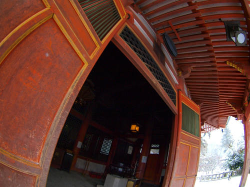 P2315972.JPG