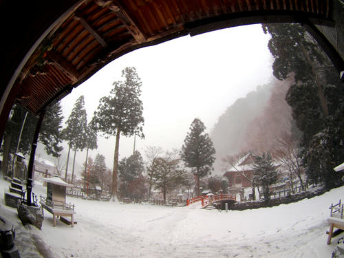 P2315991.JPG