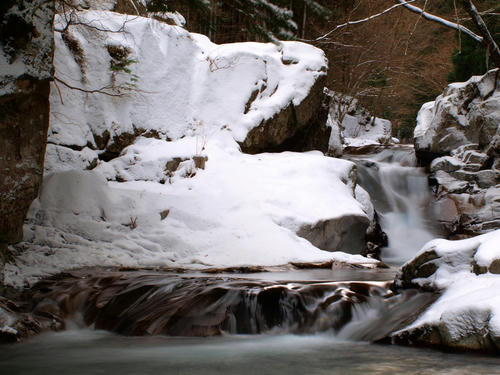 P2316139.JPG