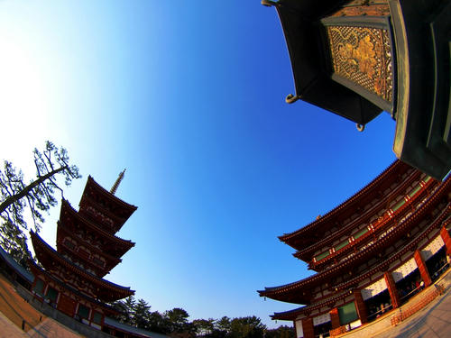 P2026501.JPG