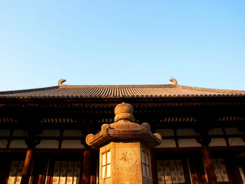 P2026535.JPG