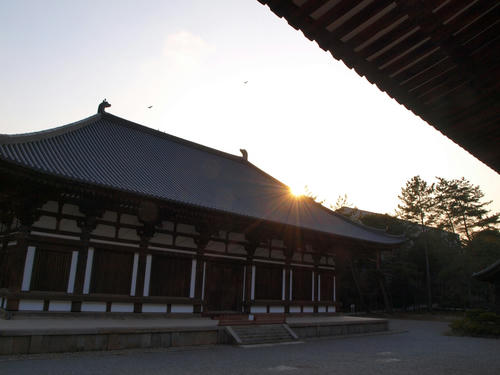P2026551.JPG