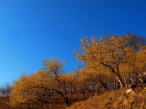P2177622.JPG