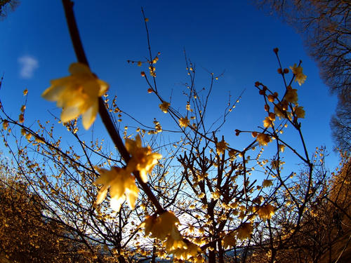 P2177668.JPG