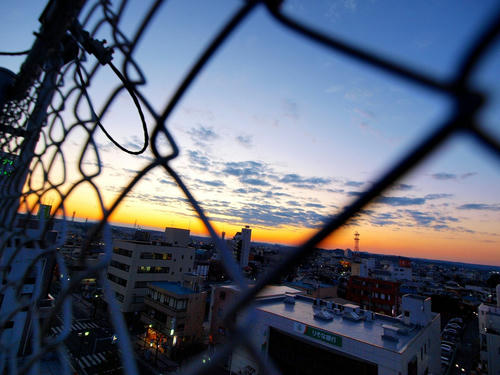 P2247802.JPG