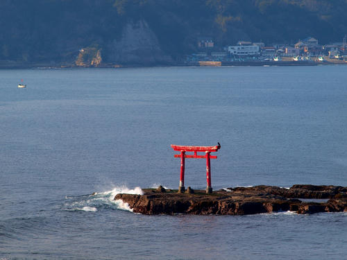 P2208837.JPG