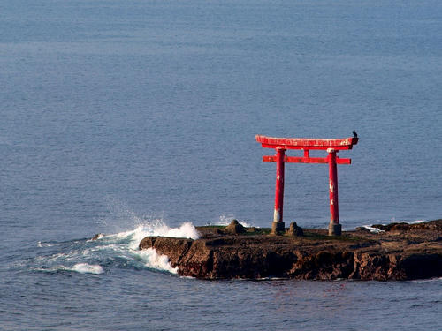 P2208837b.JPG