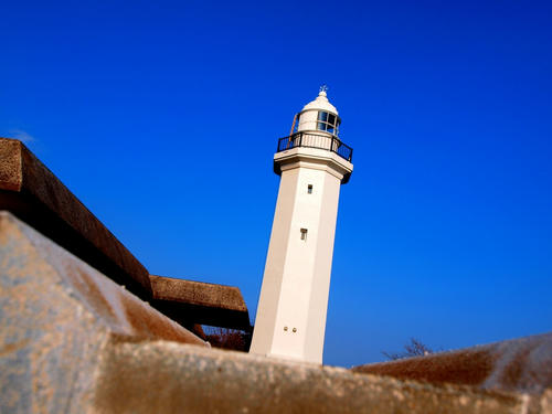 P2208872.JPG