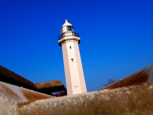 P2208873.JPG