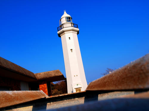 P2208874.JPG