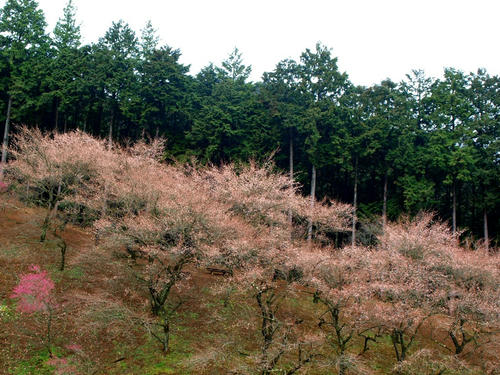 P2279446.JPG