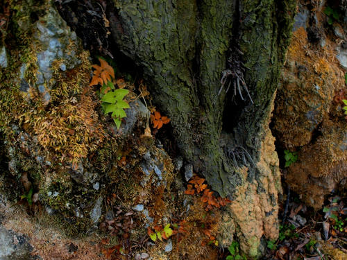 P2279769.JPG