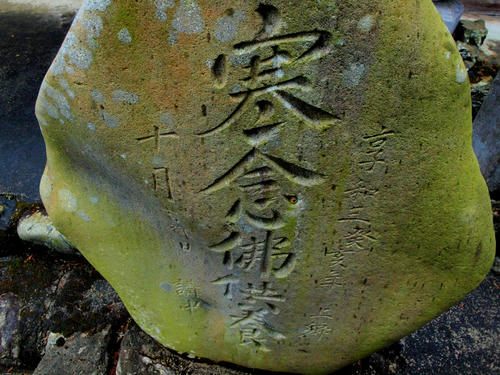 P2279782.JPG