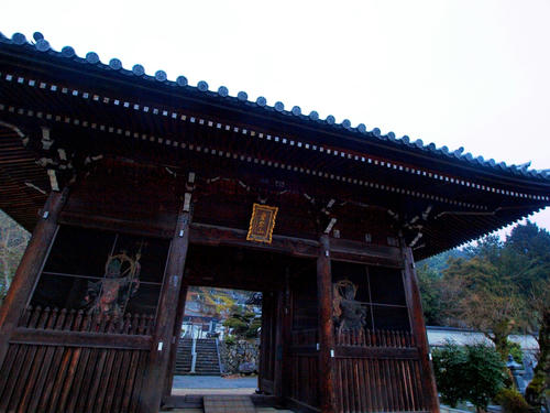 P2279796.JPG