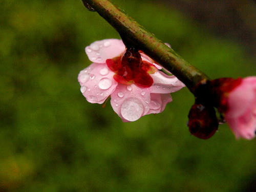 P2060024.JPG