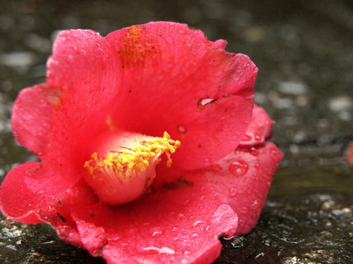 P2069992.JPG
