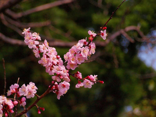 P2221532.JPG