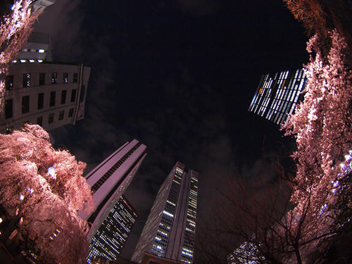 _4012127.jpg