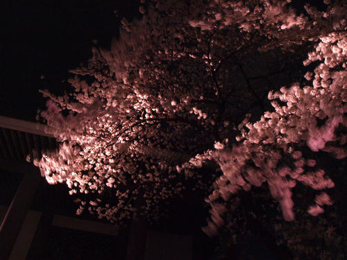 _4012178.jpg
