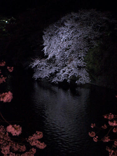 _4012350.jpg