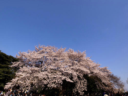 _4033081.jpg