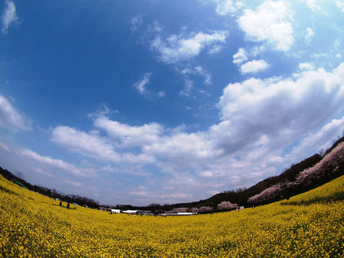_4103549.jpg