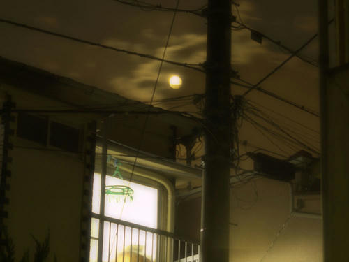 _430601005.jpg