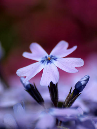 _501616101.jpg