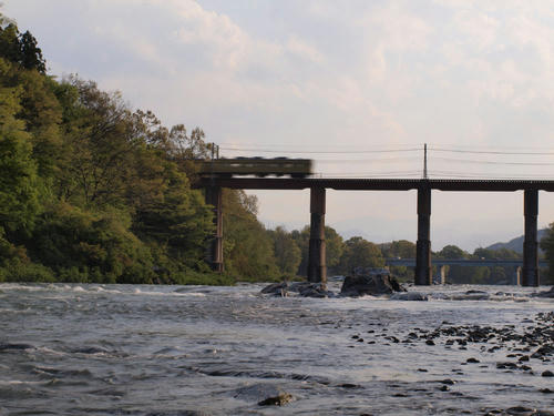 _5016900.jpg