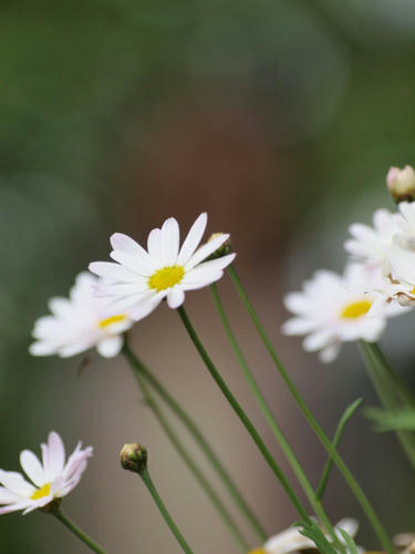 _5158041.jpg