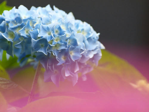 _6059451hk_color2.jpg