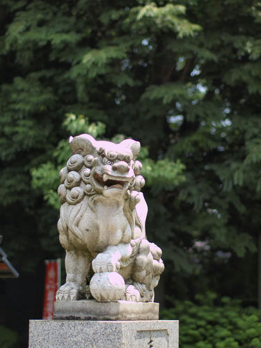 _6129599_color2_-0.2ev.jpg