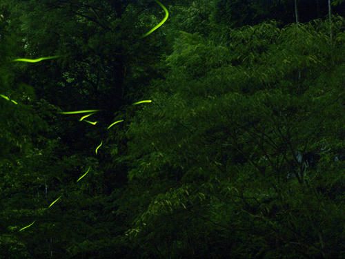 _6260802hk_color2_2.0ev_3000k.jpg
