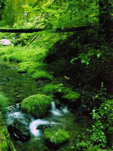 _7101275_color2_1.2ev.jpg