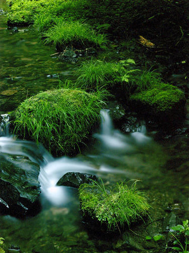 _7101276_color2_1.2ev.jpg