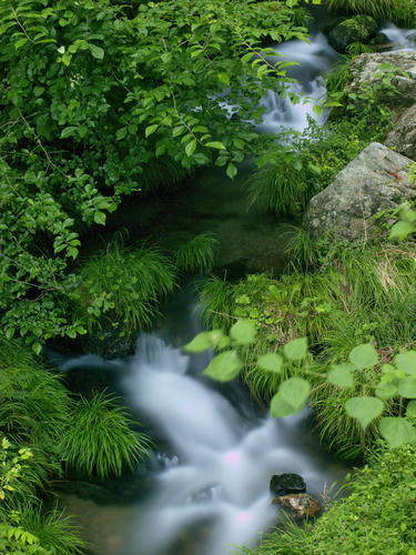 _7101351_color2.jpg
