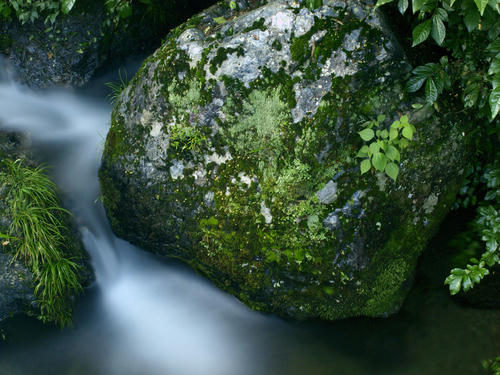 _7101355hk_color2.jpg