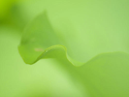 _7121508_color2_1.2ev.jpg