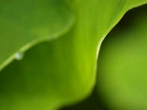 _7121533lk_color2_0.6ev.jpg
