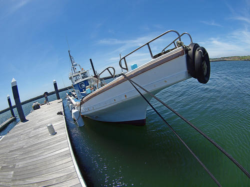 _7192457lk_color2_0.8ev_b.jpg