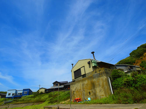 _7192594pa_lk_color2_b.jpg
