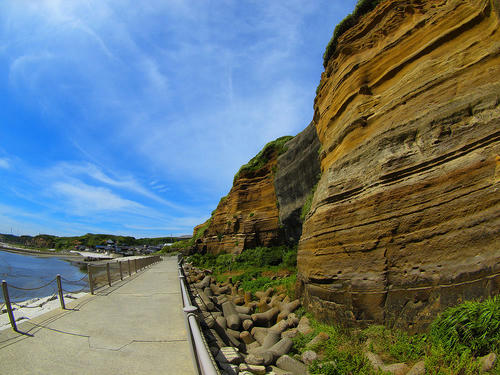 _7192604pa_color2_b.jpg