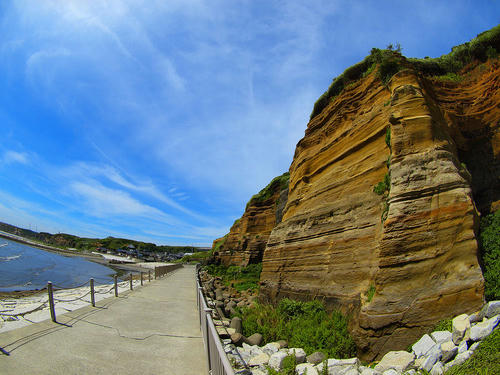 _7192605pa_color2_b.jpg