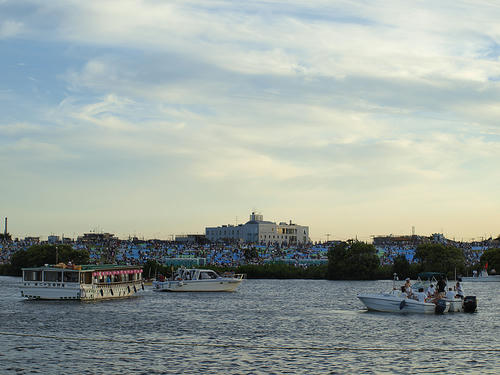 _8072872_color2_b.jpg