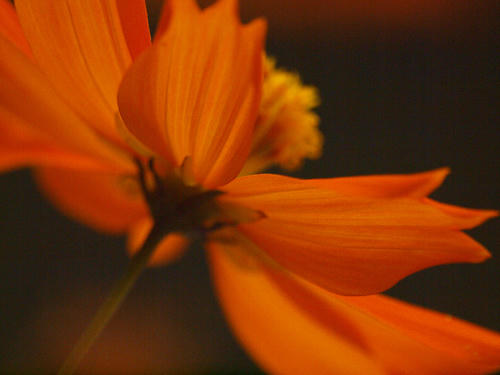 _8213577hk_color2_2.0ev_b.jpg
